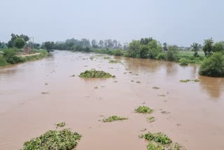 flood in sirsa