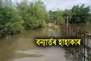 Flood in Dibrugarh District