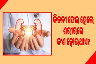 କିଡନୀ ଫେଲ ହେଲେ ଶରୀର ଦେଇଥାଏ ଏହି ସଂକେତ, ଅଣଦେଖା କଲେ ହୋଇପାରେ ମୃତ୍ୟୁ!