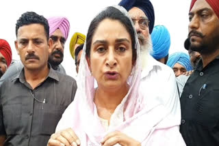 Harsimrat Kaur Badal reached Mansa, reviewed the conditions of Chandpura dam and appealed to the state government.