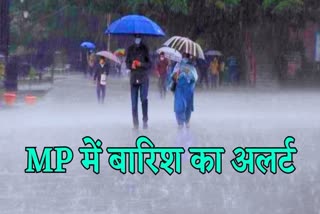 MP Weather News