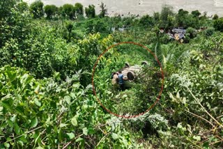 Car Fell into Ditch in Karnaprayag