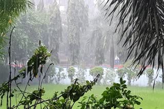 Surat Rain : સુરતમાં મેઘરાજા મન મૂકીને વરસયા, નીચાણવાળા વિસ્તારમાં પાણી ભરાયા