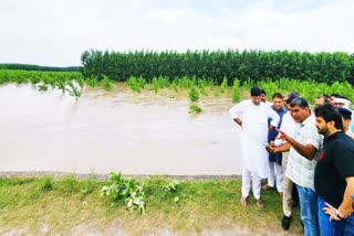 flood in Haryana