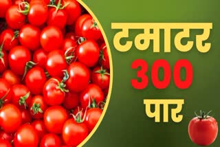Tomato Price In chandigarh