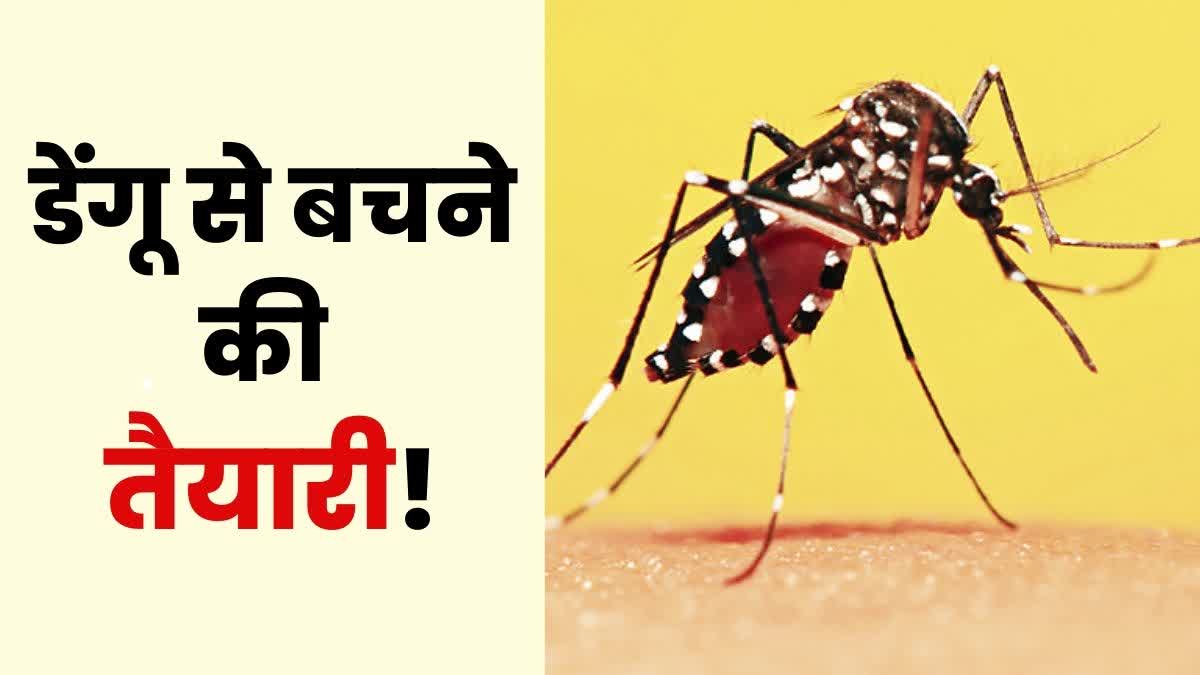 How To Prevent Dengue