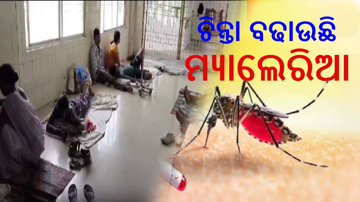 Rayagada Malaria cases