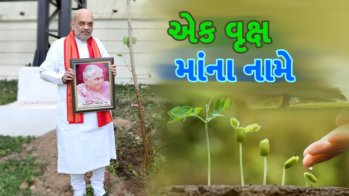 આજે ઈન્દોરમાં બનશે વૃક્ષારોપણનો વર્લ્ડ રેકોર્ડ