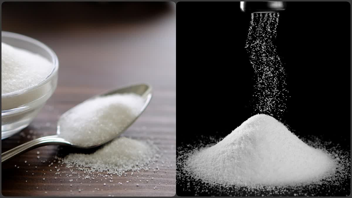 Sugar vs Salt