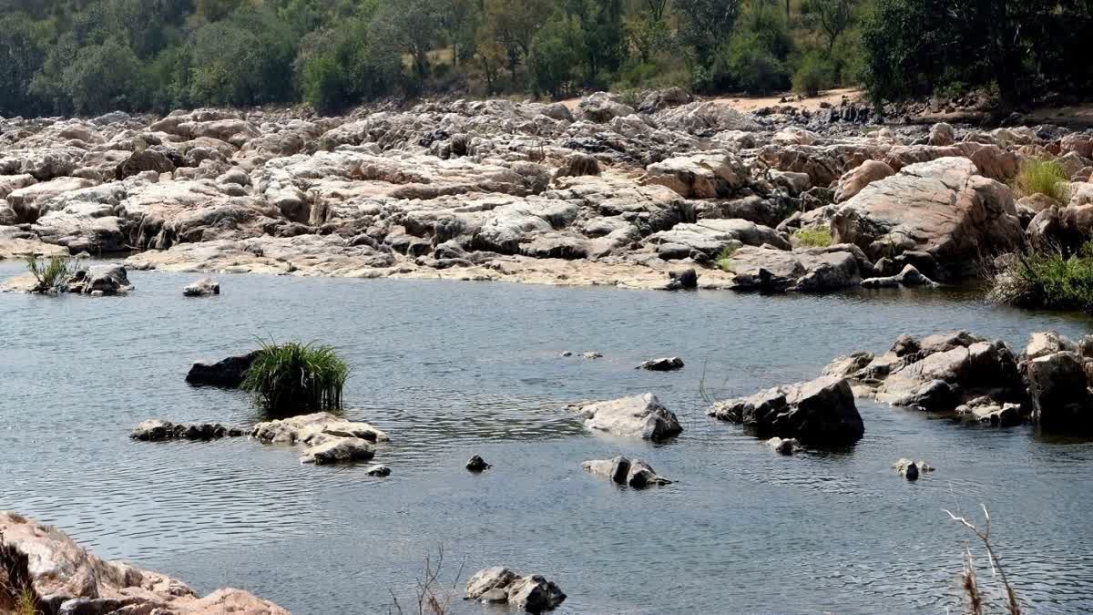 Cauvery Conflict