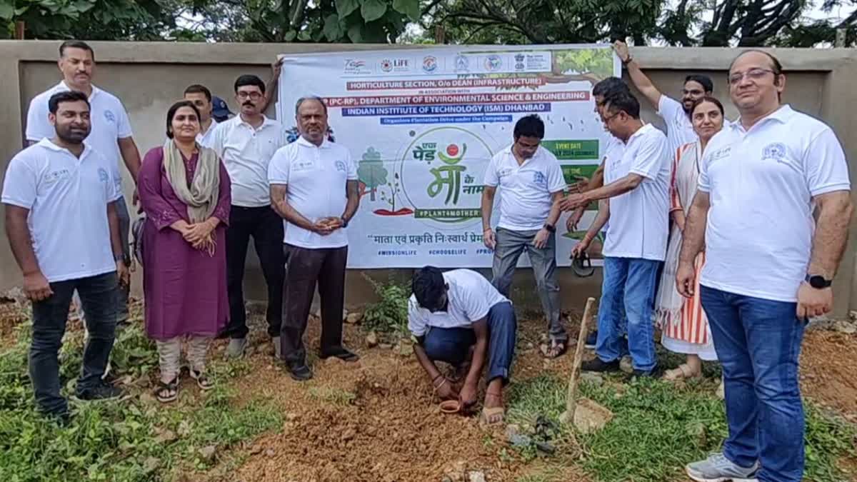 Plantation Drive At IIT ISM Nirsa