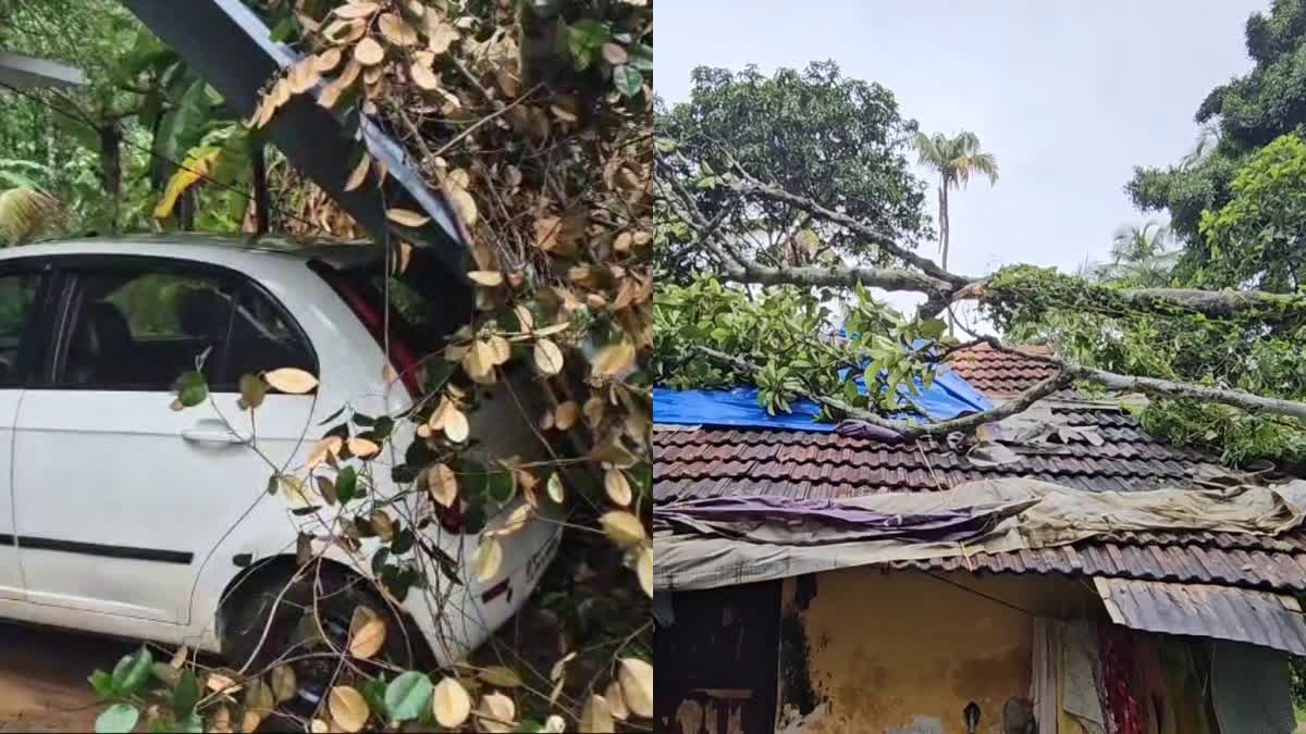 LIGHTNING STORM  WIDESPREAD DAMAGE IN THRISSUR  THUNDERSTORM HIT VARIOUS PLACES  തൃശൂരിൽ നാശം വിതച്ച്‌ മിന്നൽ ചുഴലി