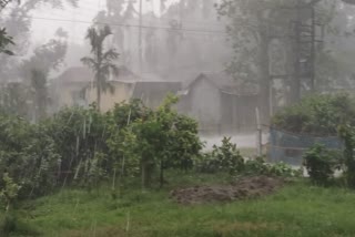 West Bengal Monsoon Update
