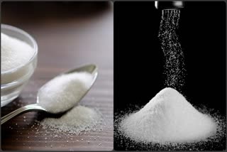 Sugar vs Salt