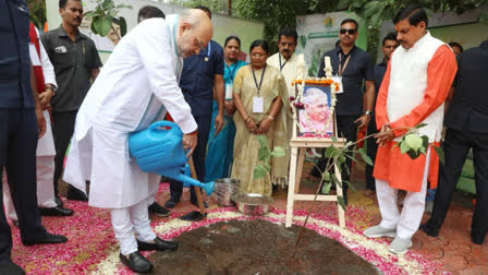 Tree plantation campaign in Indore