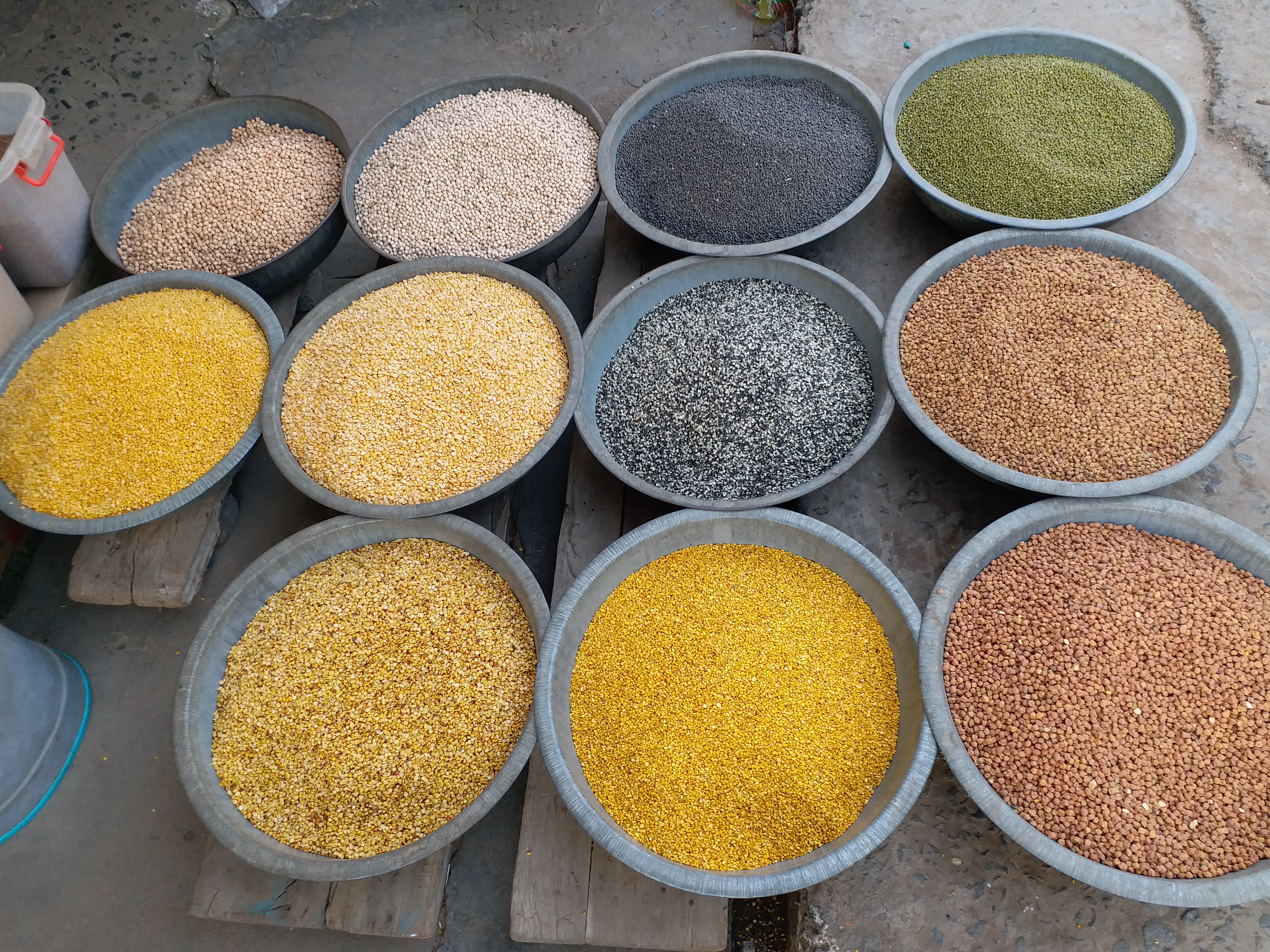 Farmers Rich Pigeon Pea Farming