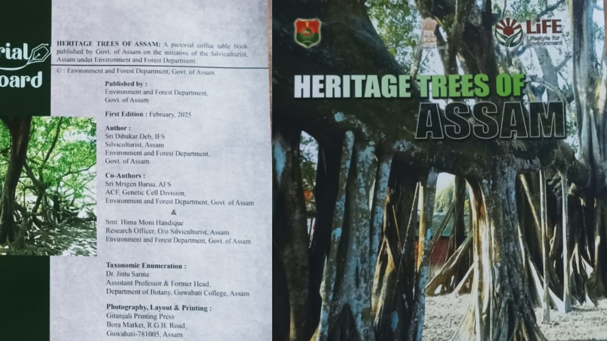 tree of Hazrat Langar Shah Auliya Dargah Sharif Mazaar in Golaghat