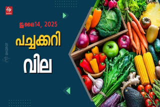 Food market trends Consumer price relief Monsoon agricultural impact Supply chain improvements