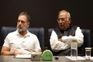 Bihar Election 2025
