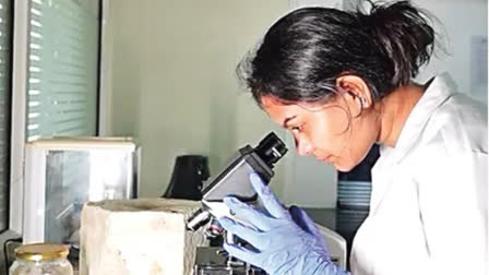 Gondu Vagdevi