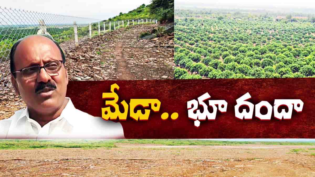 YCP_MLA _Meda_Land_Mafia