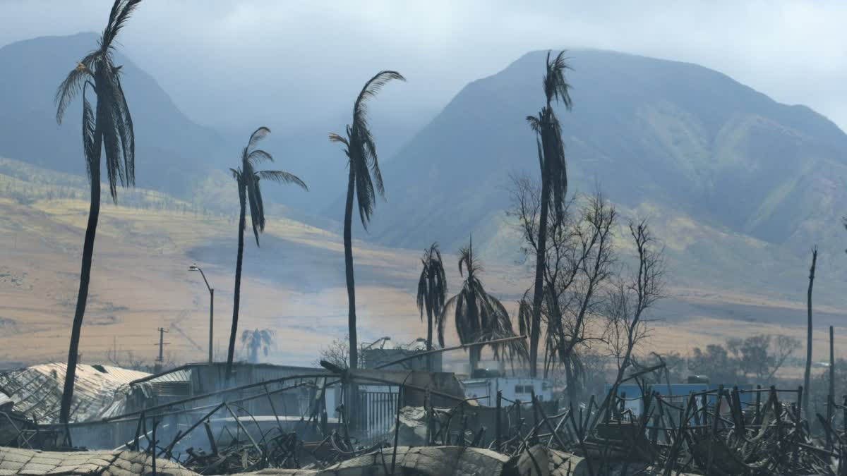 2023 Hawaii Wildfires