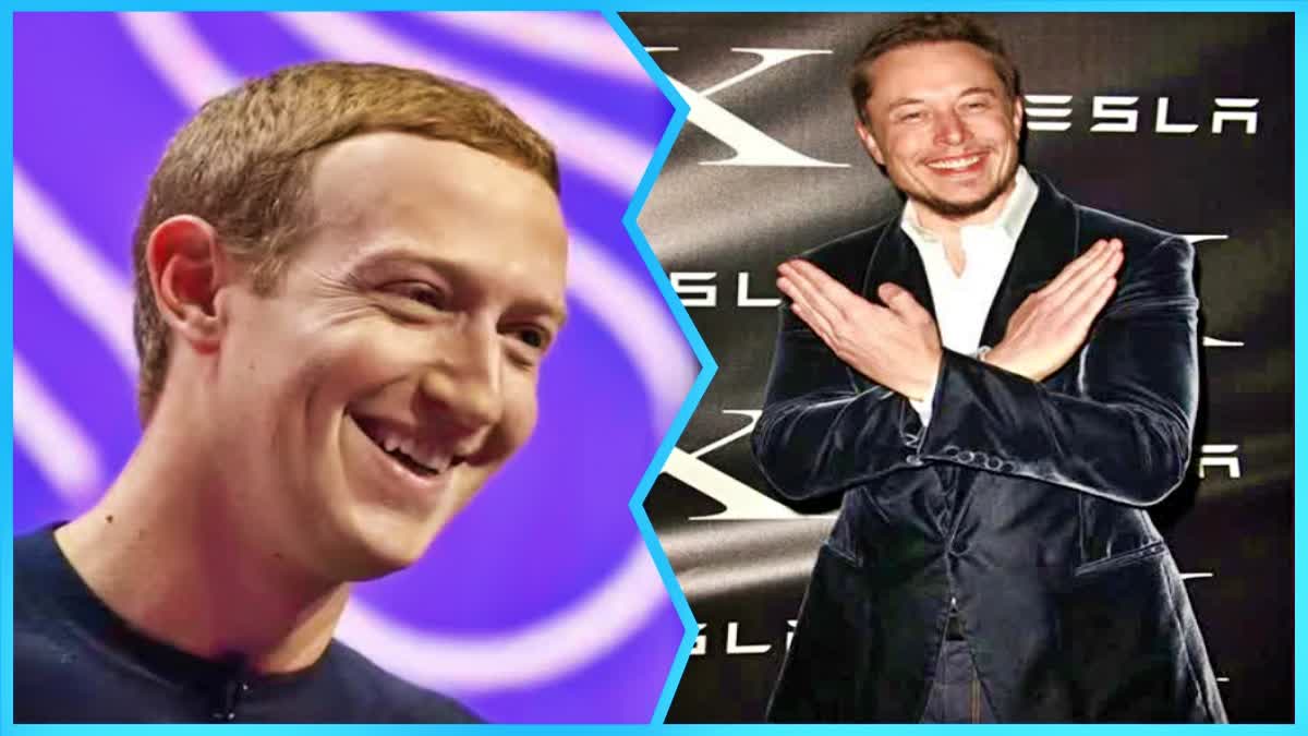 ZUCK MUSK Cage Fight update