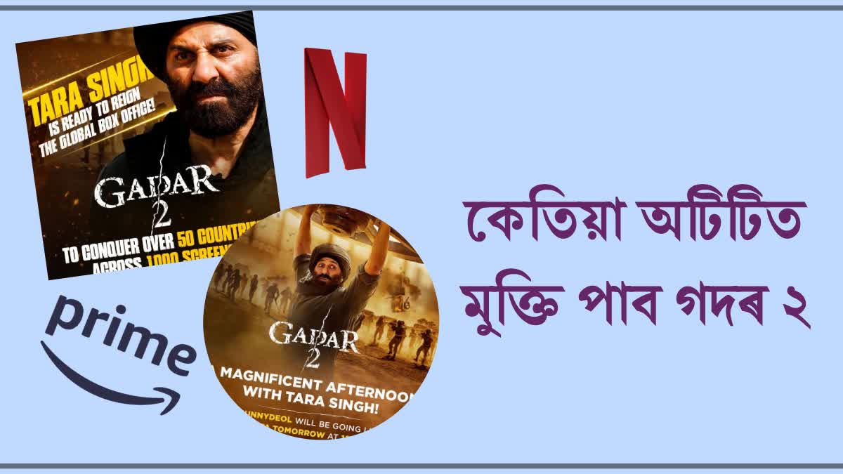 Gadar 2 Collection and OTT Release Date