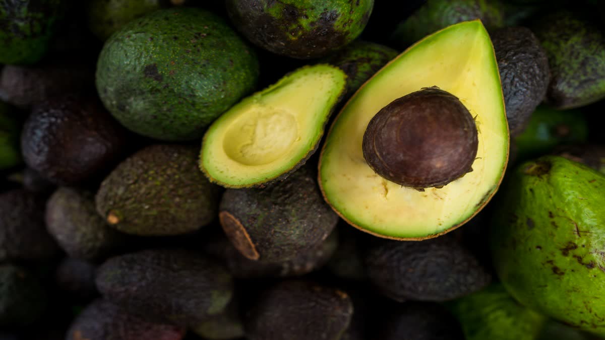 Avocado for Health News