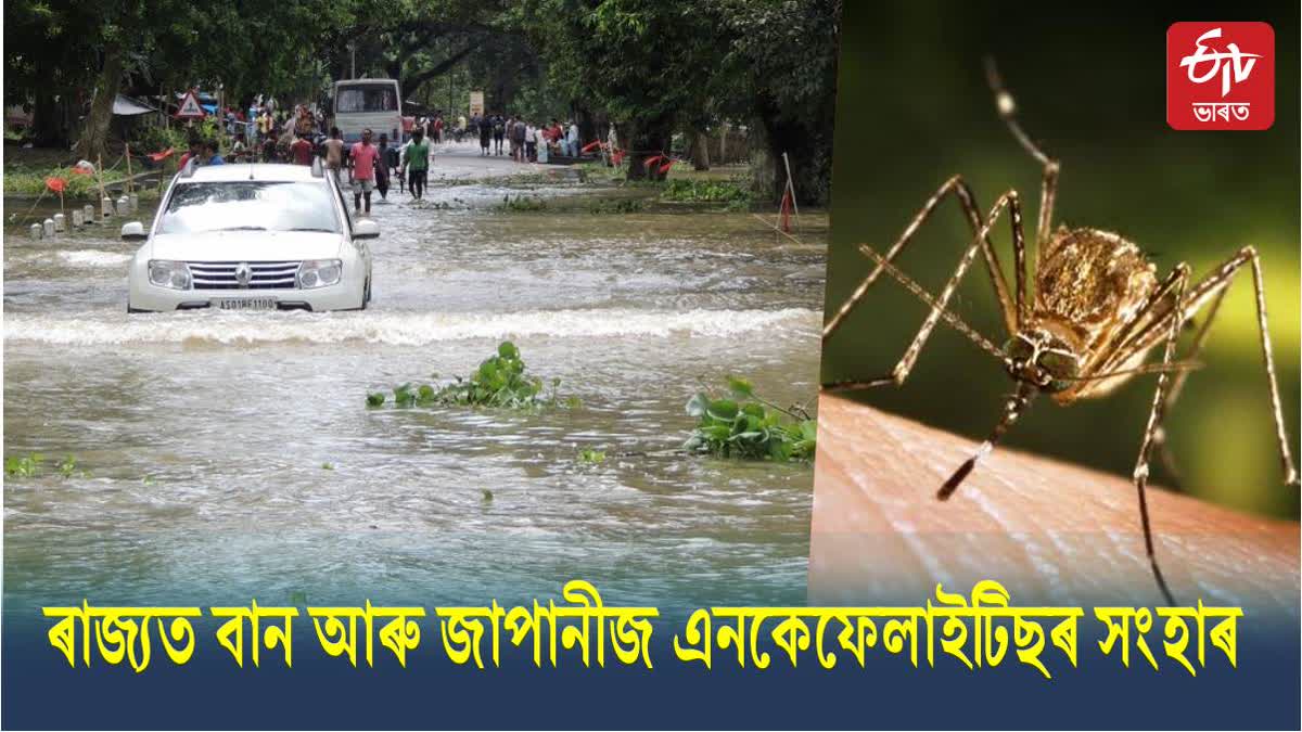 After Flood Assam now battles Japanese Encephalitis