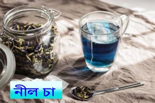 Blue Tea for Health News