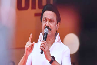 Tamil Nadu CM MK stalin reaction on chennai father and son suicide on neet issue