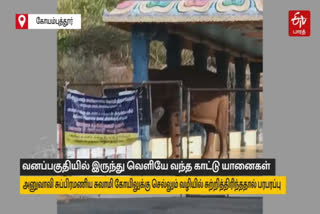 In Coimbatore people panicking because of the wild elephants came from the forest and wandered around the temple