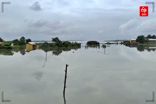 Artificial Flood at Jania Barpeta