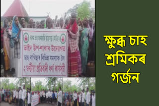 Workers of Mahavirbari tea estate strike