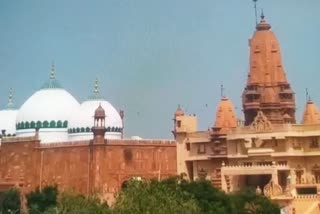 Plea in SC seeks scientific survey of Mathura Shahi Idgah mosque site