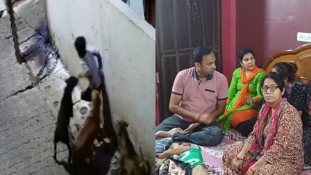 Dogs attacked child in Jhansi  Dogs attacked and scratched  Dogs attacked and scratched a seven year old child  Dogs attacked and scratched in Jhansi  ಏಳು ವರ್ಷದ ಬಾಲಕನ ಮೇಲೆ ಬೀದಿ ನಾಯಿಗಳು ದಾಳಿ  ಸಿಸಿಟಿವಿಯಲ್ಲಿ ಸೆರೆಯಾಯ್ತು ಭಯಾನಕ ದೃಶ್ಯ  ಉತ್ತರಪ್ರದೇಶದಲ್ಲಿ ಬೀದಿ ನಾಯಿಗಳು ಅಟ್ಟಹಾಸ  ಏಳು ವರ್ಷದ ಮಗುವಿನ ಮೇಲೆ ಬೀದಿನಾಯಿಗಳು ದಾಳಿ  ಜಿಲ್ಲೆಯಲ್ಲಿ ಬೀದಿ ನಾಯಿಗಳು ಅಟ್ಟಹಾಸ  ಮಗುವಿನ ಮೇಲೆ ನಾಯಿಗಳು ಏಕಾಏಕಿ ದಾಳಿ  ನಗರಸಭೆ ಯಾವುದೇ ಪ್ರಯತ್ನ ಮಾಡಿಲ್ಲ  ದಾಳಿಯ ಘಟನೆಗಳೂ ಹೆಚ್ಚುತ್ತಿವೆ