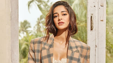 Ananya Panday invites troll