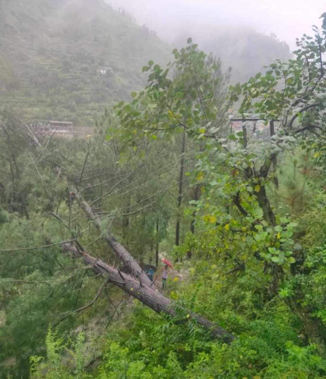 110 roads closed due to heavy rains in Kullu