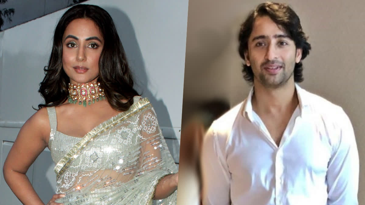 'Fiery And Fearless': Shaheer Sheikh Supports Hina Khan With Heartfelt Words Amid Her Cancer Battle