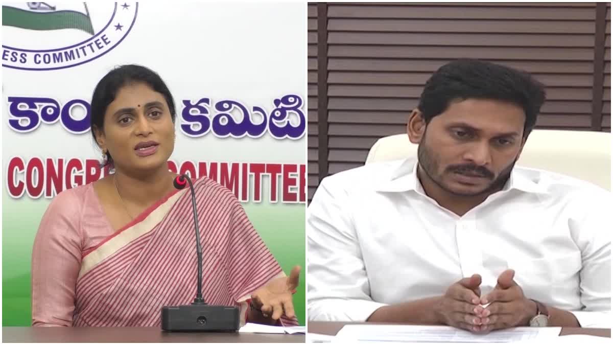 APCC Chief YS Sharmila Comments on Jagan