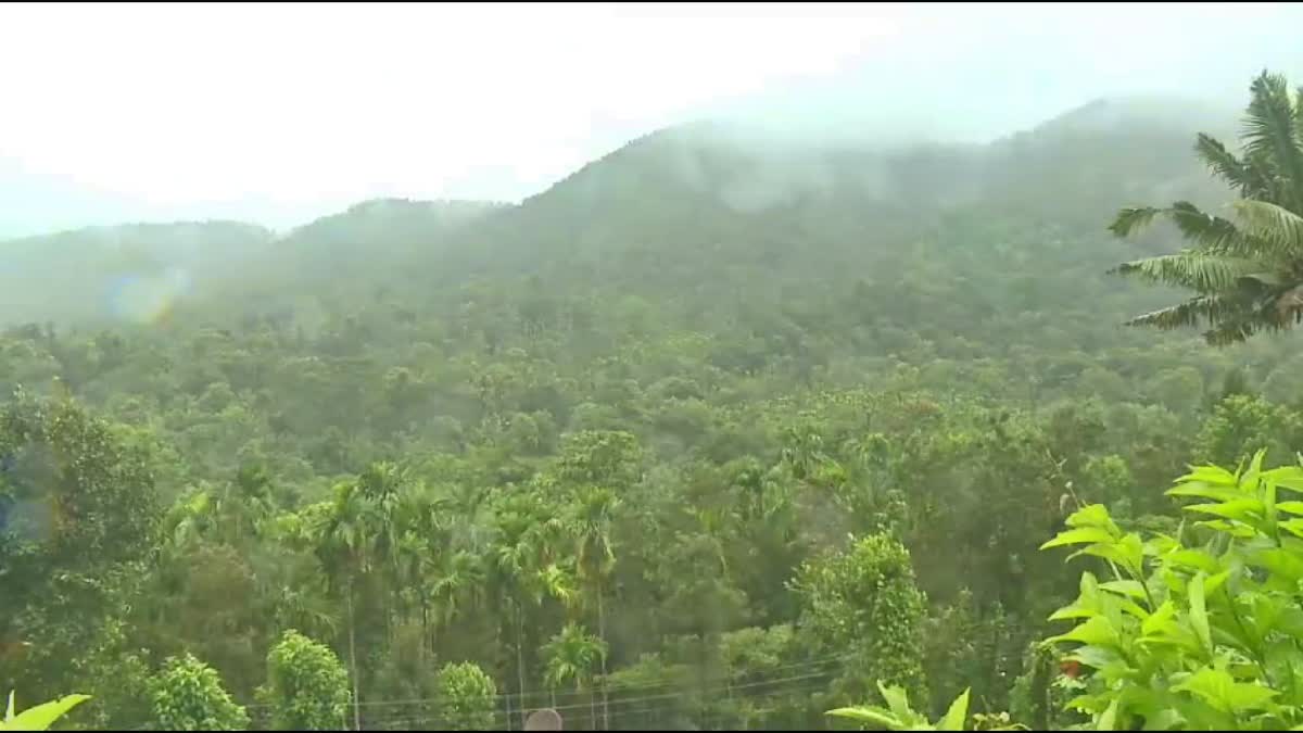 Chikmagalur