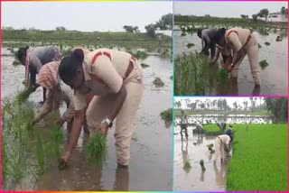 Lady_SI_Sirisha_Farming_Viral_Video