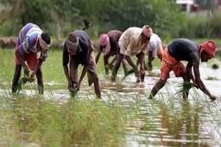 water problem for farming End in CG