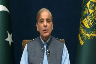 PM Shehbaz Sharif Pledges To Unveil 5-Year Plan To Bring Economic Stability As Pakistan Turns 77