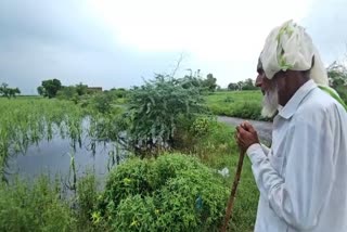 Waterlogging in Nuh Field