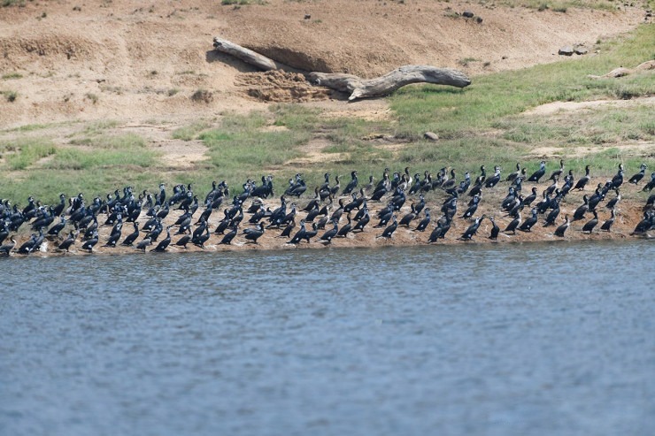 Tawa reservoir declared Ramsar site