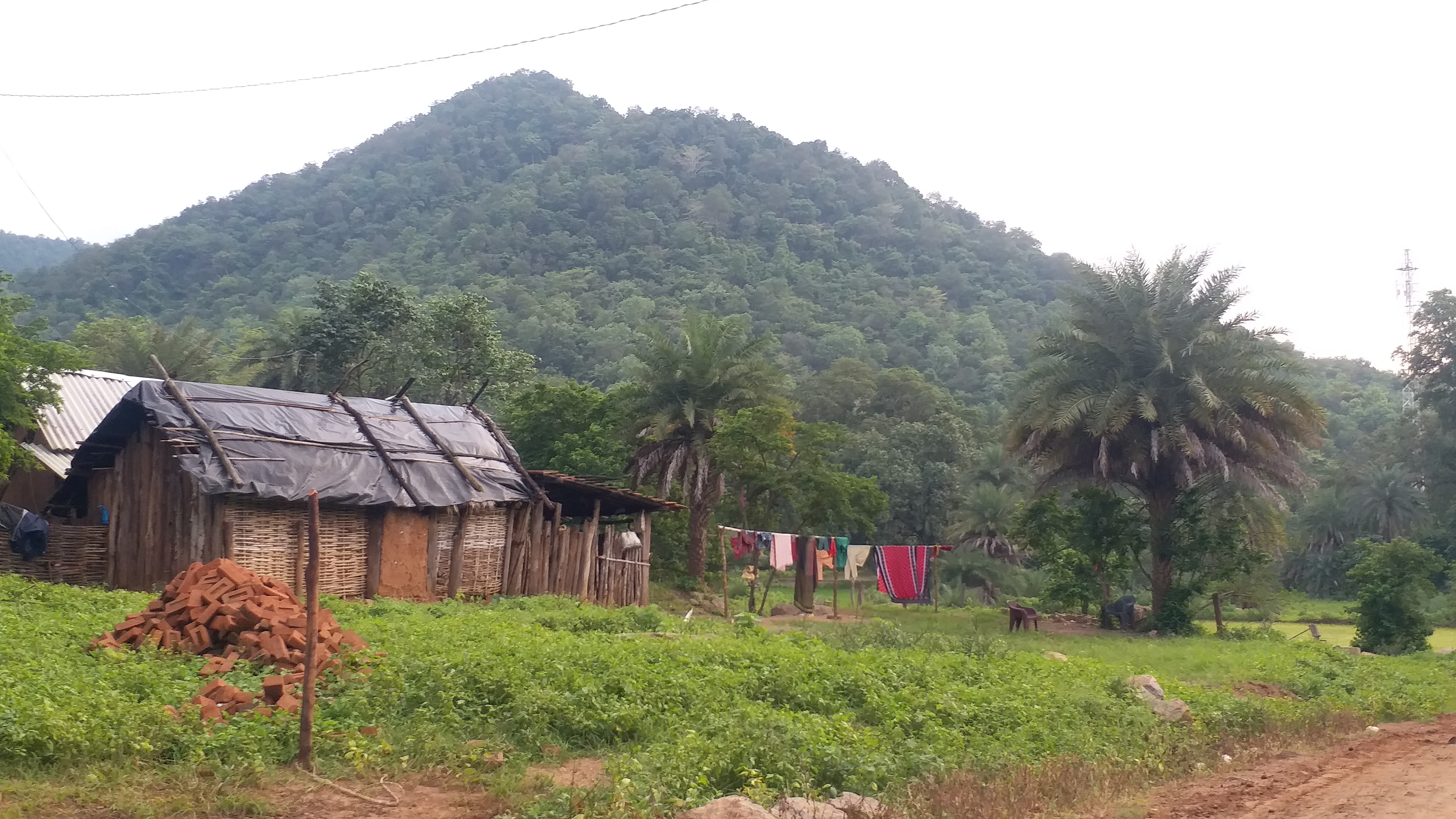 ଦୁର୍ଦ୍ଦିନରେ ବୌଦ୍ଧ ଅଞ୍ଚଳର ପ୍ରଥମ ସହୀଦ ନାଏକାଙ୍କ ବଂଶଧର