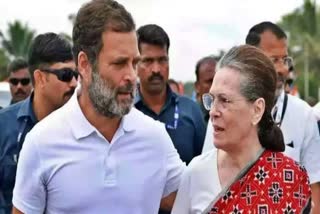 BJP ON SONIA GANDHI