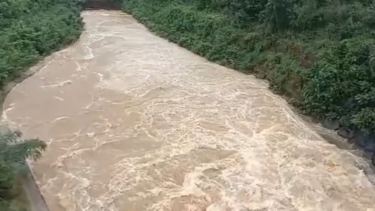 heavy rainfall in koraput district